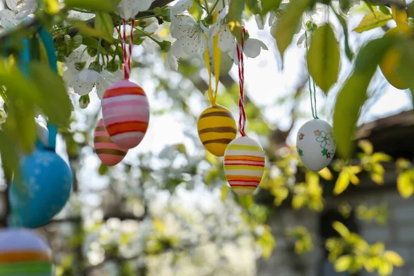 Красиво Пофарбовані Великодні Яйця Звисають Розквітлому Дереві Відкритому Повітрі — стокове фото