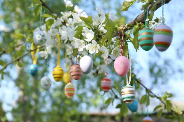 Gyönyörű Festett Húsvéti Tojás Lóg Virágzó Szabadban — Stock Fotó