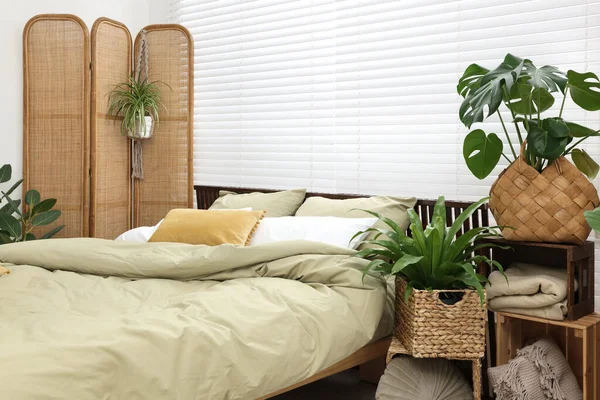 Lit Confortable Belles Plantes Intérieur Vertes Dans Chambre — Photo