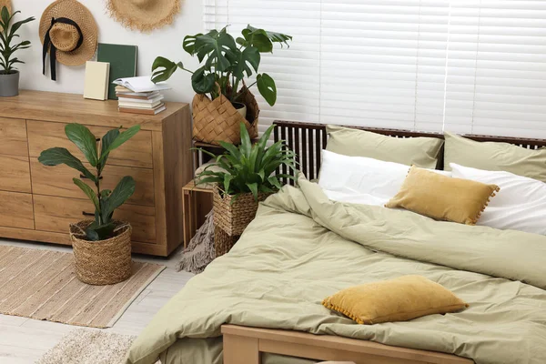Comfortable Bed Beautiful Green Houseplants Bedroom — Stock Photo, Image