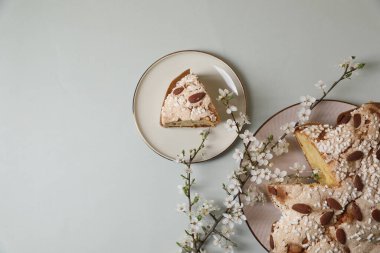 Lezzetli İtalyan Paskalya güvercini pastası (geleneksel Colomba di Pasqua) ve açık gri masa üzerinde çiçek açan dallı tabaklar. Metin için boşluk