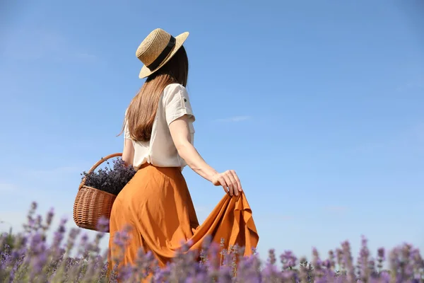 Wanita Muda Dengan Keranjang Penuh Bunga Lavender Lapangan — Stok Foto