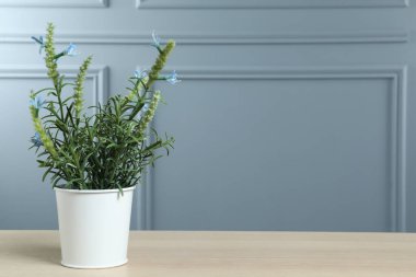 Gri duvarın yanındaki ahşap masadaki saksıda güzel yapay bitki, metin için yer var.