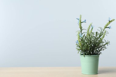 Ahşap masadaki saksıda, açık gri arkaplan üzerinde güzel yapay bitki, metin için alan