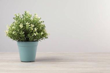Ahşap masadaki saksıda, açık gri arkaplan üzerinde güzel yapay bitki, metin için alan