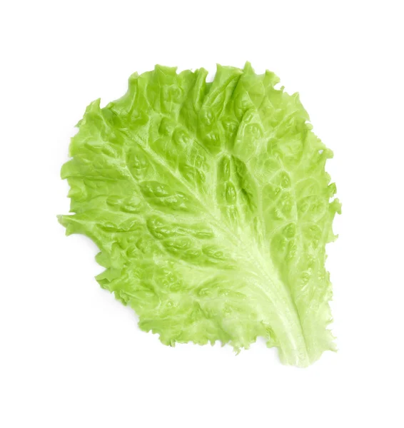 Fresh Green Lettuce Leaf Isolated White Top View — Stock Photo, Image
