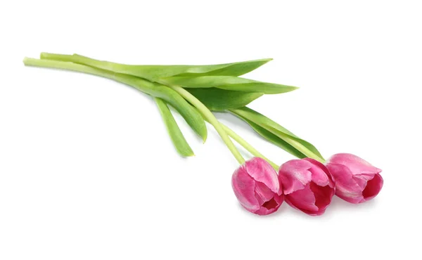 Vackra Rosa Tulpan Blommor Isolerade Vitt — Stockfoto
