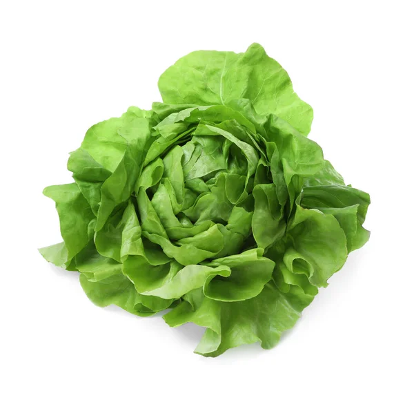 Friss Zöld Vajas Salátafej Fehér Alapon Izolálva — Stock Fotó