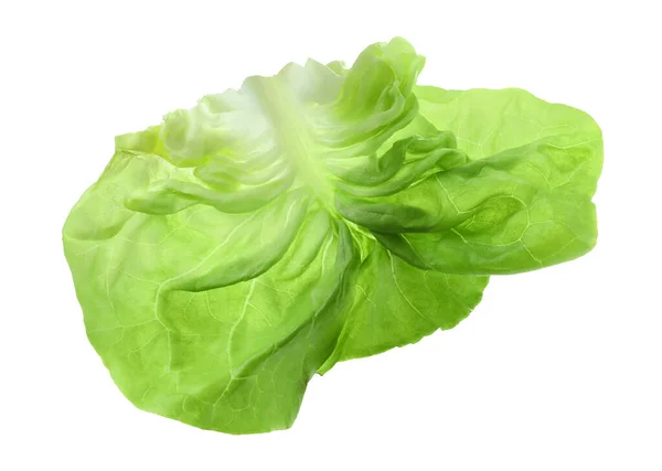 在白菜上分离的新鲜绿脂莴苣叶 — 图库照片