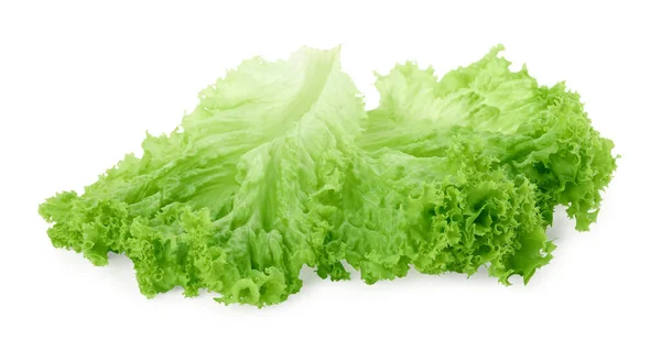 Ένα Πράσινο Φύλλο Μαρουλιού Απομονωμένο Λευκό Λαχανικά Σαλάτας — Φωτογραφία Αρχείου