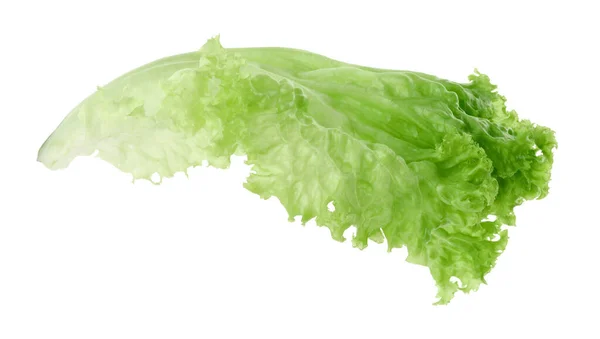 Один Зелений Лист Салату Ізольований Білому Салат Зелень — стокове фото