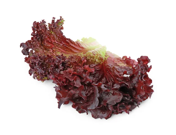 Taze Kırmızı Mercan Salataları Beyazların Üzerinde Izole Edilmiş — Stok fotoğraf