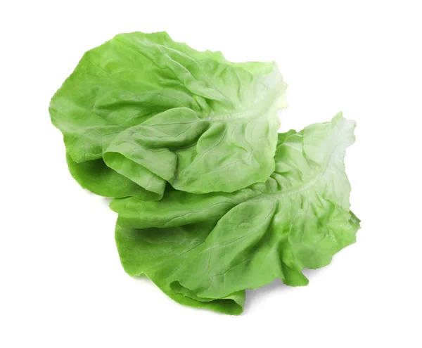 Fresh Leaves Green Butter Lettuce Isolated White Top View — Stock Photo, Image