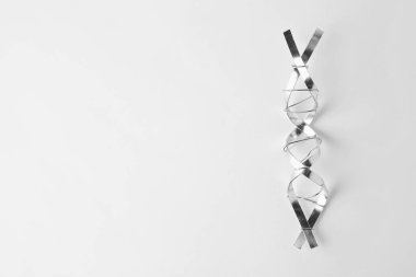 Beyaz arka planda metalden yapılmış DNA moleküler zinciri modeli. Metin için boşluk