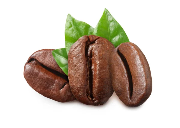 白を基調とした新鮮な焙煎コーヒー豆と葉 — ストック写真