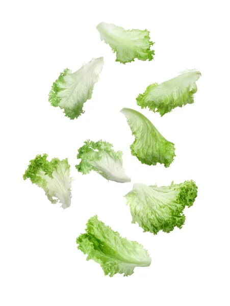Friss Zöld Saláta Levelek Alá Fehér Háttér — Stock Fotó