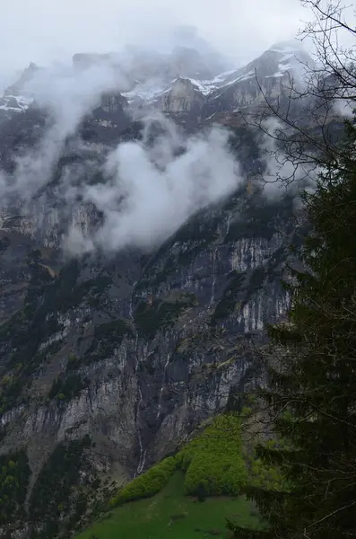 霧に覆われた森の山の絵のような景色 — ストック写真