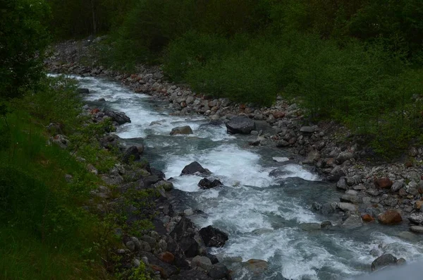 石や植物の間を流れる山の川の美しい景色屋外 — ストック写真