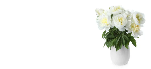 Vaso Elegante Com Belas Flores Peônia Fundo Branco Design Banner — Fotografia de Stock