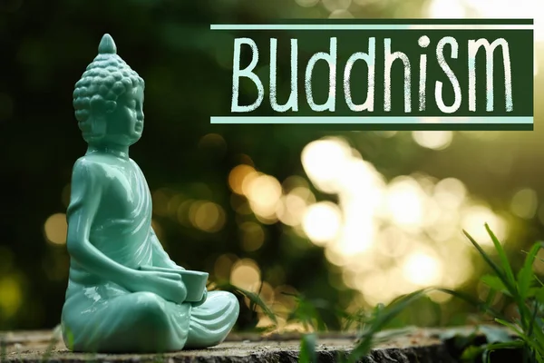 Budismo Estátua Buda Decorativa Toco Livre — Fotografia de Stock