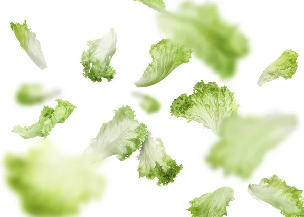 Čerstvý Zelený Salát Listy Padající Bílé Pozadí — Stock fotografie