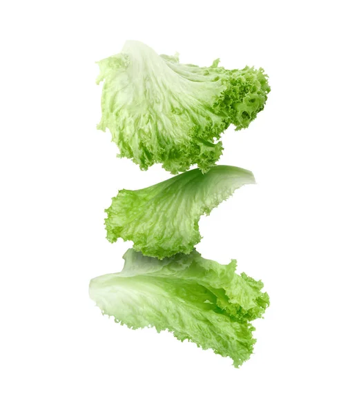 Čerstvý Zelený Salát Listy Padající Bílé Pozadí — Stock fotografie
