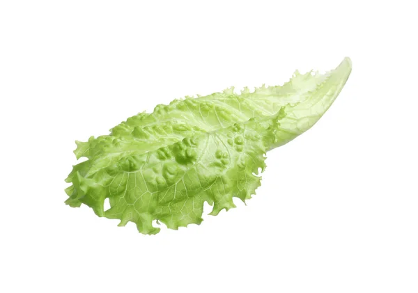Fresh Green Lettuce Leaf Isolated White — Stock Photo, Image