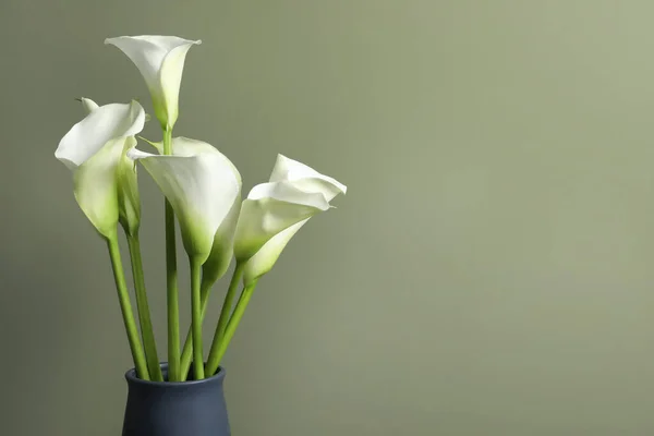 Schöne Calla Lilienblüten Der Vase Auf Olivem Hintergrund Raum Für — Stockfoto