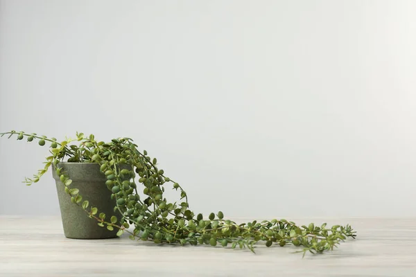 Prachtige Kunstplant Bloempot Houten Tafel Tegen Lichtgrijze Achtergrond Ruimte Voor — Stockfoto