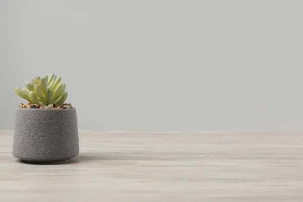 木制桌子上的花盆中美丽的人造植物 背景浅灰 文字空间 — 图库照片
