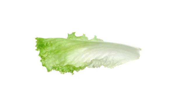 Jeden Zelený List Salátu Izolovaný Bílém Zelené Saláty — Stock fotografie