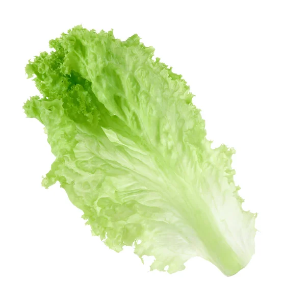 Uma Folha Alface Verde Isolada Branco Verduras Salada — Fotografia de Stock