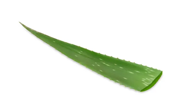 Beyaz Üzerinde Yeşil Aloe Vera Yaprağı Izole — Stok fotoğraf
