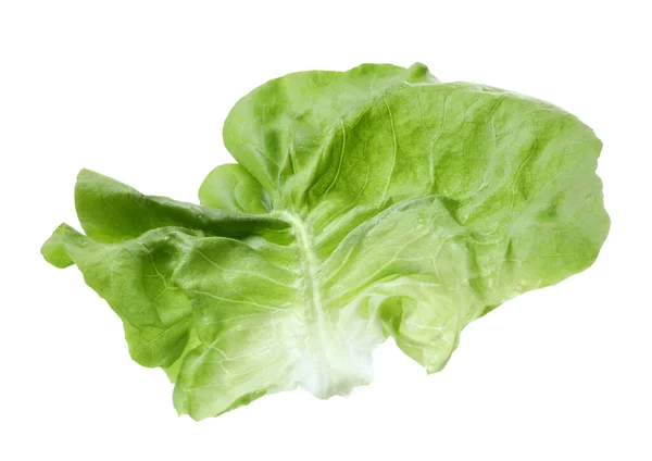 Frisches Blatt Von Grünem Buttersalat Isoliert Auf Weiß — Stockfoto