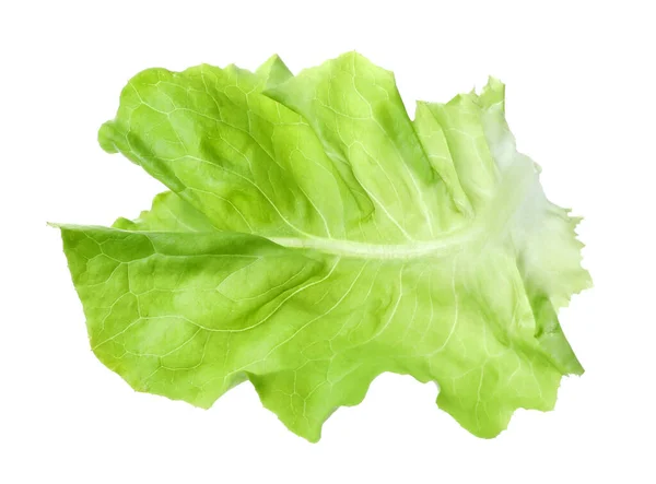 Fehér Alapon Izolált Zöld Vajas Saláta Friss Levele — Stock Fotó