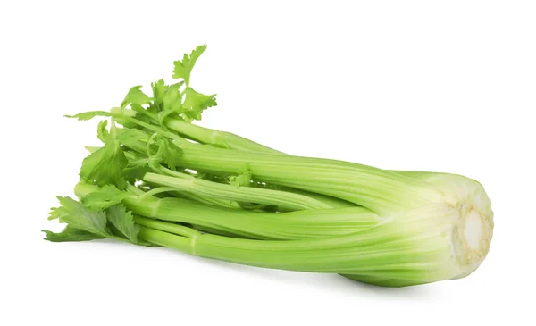 Čerstvě Zelený Celer Parta Izolované Bílém — Stock fotografie