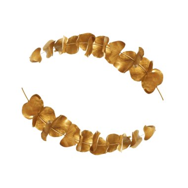 Güzel altın boyalı okaliptüs dalları beyaz arkaplanda