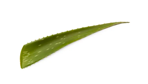 緑のアロエベラの葉は白に隔離された — ストック写真