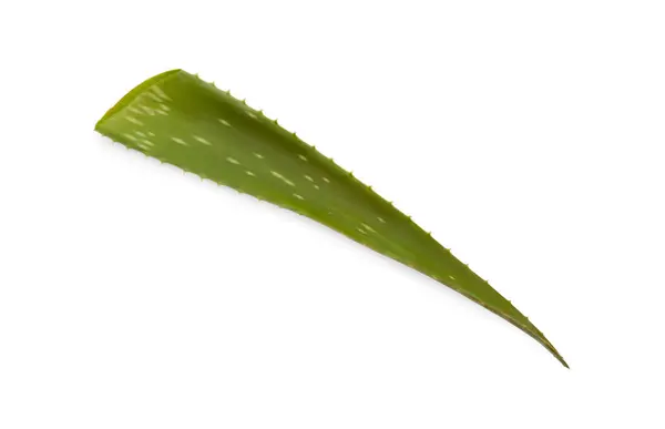 Green Aloe Vera Leaf Isolated White — Stock Photo, Image