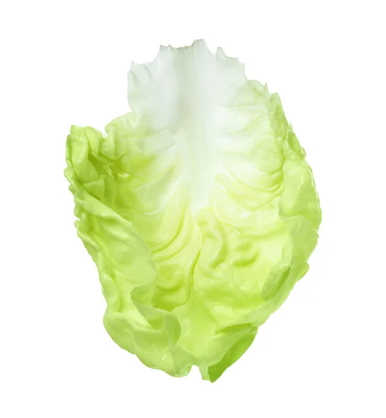 Čerstvý List Salátu Másla Izolovaný Bílém — Stock fotografie