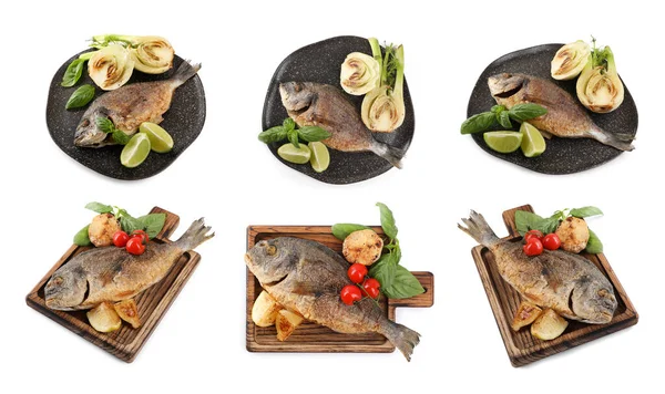 Lahodné Pečené Dorado Ryby Zeleninou Bazalkou Citrusovými Plody Bílém Pozadí — Stock fotografie