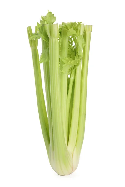Čerstvý Zralé Zelený Celer Izolovaný Bílém — Stock fotografie