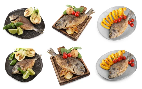 Вкусная Жареная Рыба Дорадо Овощами Базиликом Цитрусовыми Белом Фоне Дизайн — стоковое фото