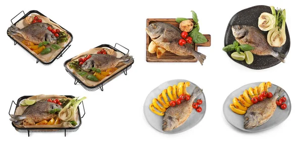 Вкусная Жареная Рыба Дорадо Овощами Базиликом Цитрусовыми Белом Фоне Дизайн — стоковое фото