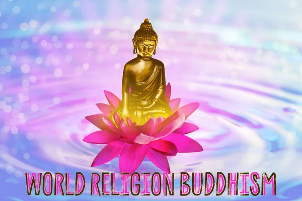 Lotus Λουλούδι Φιγούρα Του Βούδα Στο Νερό Και Κείμενο Παγκόσμια — Φωτογραφία Αρχείου
