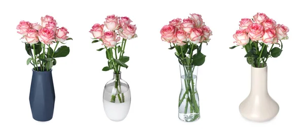 Colagem Vasos Elegantes Com Belos Buquês Rosas Fundo Branco — Fotografia de Stock