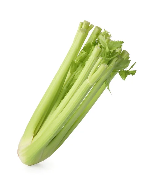 Fresh Ripe Green Celery Isolated White — Stock Photo, Image