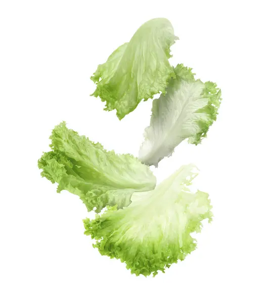 Fresh Green Lettuce Leaves Falling White Background — Stock Photo, Image