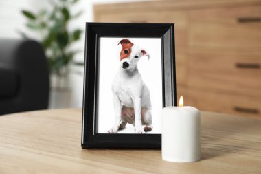 İçerideki ahşap masada yanan mum ve köpek resmi olan çerçeve. Hayvan cenazesi