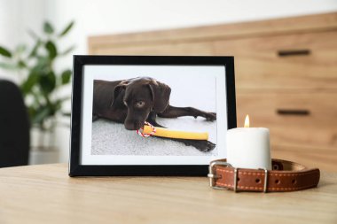 İçerideki ahşap masada köpek, tasma ve yanan mum resmi olan çerçeve. Hayvan cenazesi